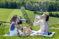 Walkers and picnikers enjoy the warm weather in Surrey. 