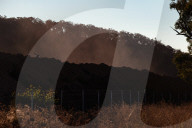 Coal mining Australia
