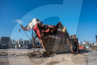10 Months After Blast - Beirut