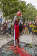 Brazilians protest in front of the Brazilian embassy, of the right wing president 