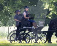 Sophie Countess of Wessex Carriage Driving