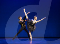 Swan Lake