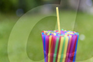 NEWS - Verbot für Einwegplastik und Wegwerfprodukte in der EU