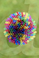 NEWS - Verbot für Einwegplastik und Wegwerfprodukte in der EU