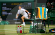 SPORT - Tennis: Djokovic siegt in Wimbledon