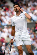 SPORT - Tennis: Djokovic siegt in Wimbledon