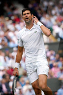 SPORT - Tennis: Djokovic siegt in Wimbledon