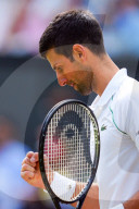SPORT - Tennis: Djokovic siegt in Wimbledon