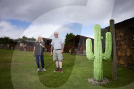 Scarborough hopes to woo millennials with surfing, yoga and dolphins. 