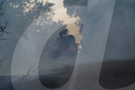 NEWS - Kampf gegen die Flammen: Buschbrände auf der Mittelmeerinsel Sardinien