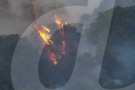 NEWS - Kampf gegen die Flammen: Buschbrände auf der Mittelmeerinsel Sardinien