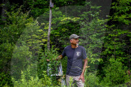 ‘An abomination’: the story of the massacre that killed 216 wolves. In Wisconsin, hunters are allowed to use hound dogs to kill wolves. In the midst of a politically volatile context, activists are now filming the hunts to raise the alarm.