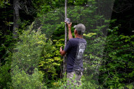 ‘An abomination’: the story of the massacre that killed 216 wolves. In Wisconsin, hunters are allowed to use hound dogs to kill wolves. In the midst of a politically volatile context, activists are now filming the hunts to raise the alarm.