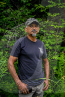 ‘An abomination’: the story of the massacre that killed 216 wolves. In Wisconsin, hunters are allowed to use hound dogs to kill wolves. In the midst of a politically volatile context, activists are now filming the hunts to raise the alarm.