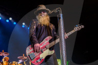 ZZ TOP
