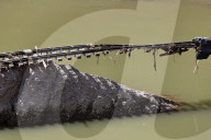 NEWS - Extreme Hochwasserschäden nach der Naturkatastrophe in der Eifel