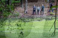 NEWS - Deutschland: Präsentation des Klimaschutz-Sofortprogramms der Grünen