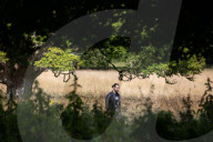 Rewilding Dunsany Castle.