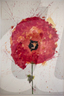 Brian Clarke creates field of poppies in memory of his friend Linda McCartney.