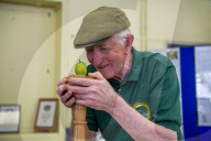 The Egton Bridge gooseberry show.