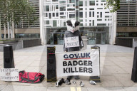 Badger protests outside DEFRA in Westminster