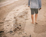 Thousands of fish killed by toxic red tide wash ashore on Florida beaches