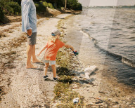Thousands of fish killed by toxic red tide wash ashore on Florida beaches
