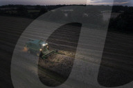 Wheat harvest delayed by rain