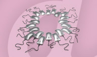 ‘It became a compulsion’: how fertility forums took over.