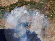 Vilia wildfires