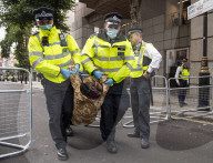 Extinction Rebellion demo London