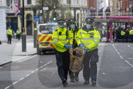 Extinction Rebellion demo London