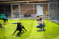 PORTRAIT - Francine Jordi besucht Tierheim in Gossau (Juli 2021)