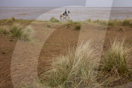 Hello hawthorn! £10m sand dunes project brings plants back to life. Traditionally, scrub has been allowed to swamp England and Wales’s sand dunes, but now they are being set free