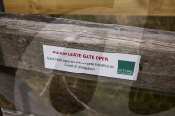 Hello hawthorn! £10m sand dunes project brings plants back to life. Traditionally, scrub has been allowed to swamp England and Wales’s sand dunes, but now they are being set free
