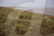 Hello hawthorn! £10m sand dunes project brings plants back to life. Traditionally, scrub has been allowed to swamp England and Wales’s sand dunes, but now they are being set free