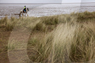 Hello hawthorn! £10m sand dunes project brings plants back to life. Traditionally, scrub has been allowed to swamp England and Wales’s sand dunes, but now they are being set free
