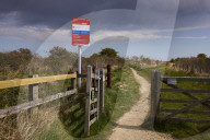 Hello hawthorn! £10m sand dunes project brings plants back to life. Traditionally, scrub has been allowed to swamp England and Wales’s sand dunes, but now they are being set free