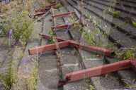 York City FC seeks relatives to find ashes buried under old pitch. Historic England project aims to find ashes of fans buried at football ground slated for redevelopment