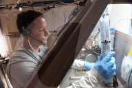 ESA astronaut Thomas Pesquet feeding tardigrades