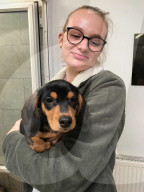 FEATURE - Mensch und Tier: Hund Lexie heilt Molly Anderton von Depression und Essstörung