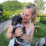 FEATURE - Mensch und Tier: Hund Lexie heilt Molly Anderton von Depression und Essstörung