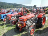 FEATURE - Internationales Oldtimer Traktorentreffen in Moeriken AG