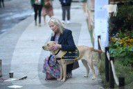 Carol Kirkwood was pulled to the ground by a guide dog