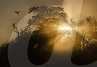 Autumnal equinox 2021