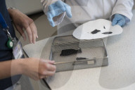 Conservation and Ecology makes a new material developed to absorb fibreglass fragments in the ocean.