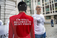 Foxhound body director ‘encouraged’ illegal fox hunts, court hears.