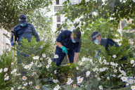 Sabina Nessa murder