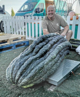 FEATURE - Dicke Dinger: Riesen-Kürbisse auf der Malvern Show
