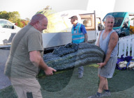 FEATURE - Dicke Dinger: Riesen-Kürbisse auf der Malvern Show